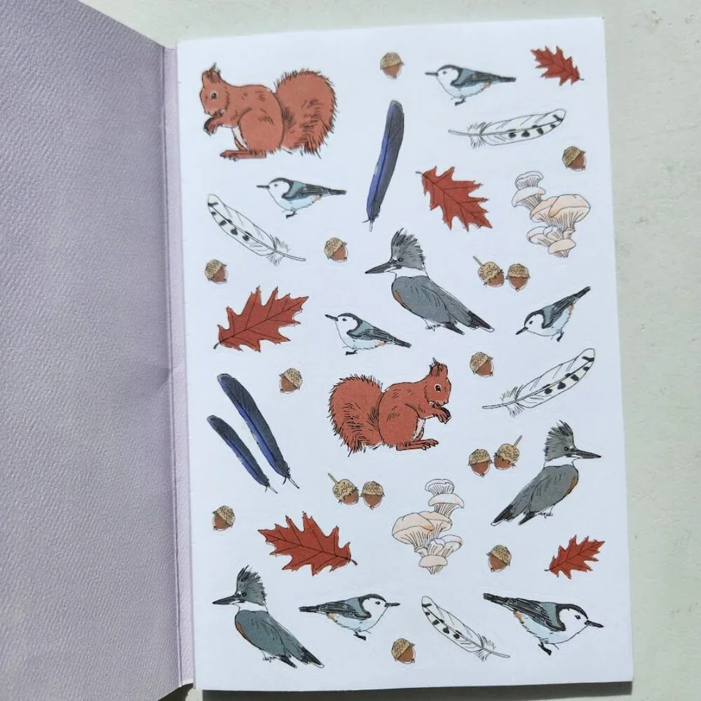 Nature Anatomy Sticker Book Julia Rothman 750 Stickers Birds Feathers Flowers